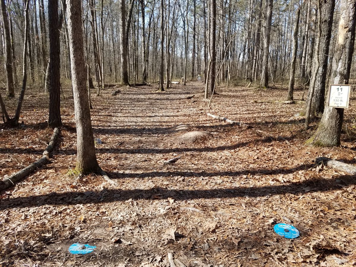 Easy par 3, 11th hole.  Hope you make a birdie.