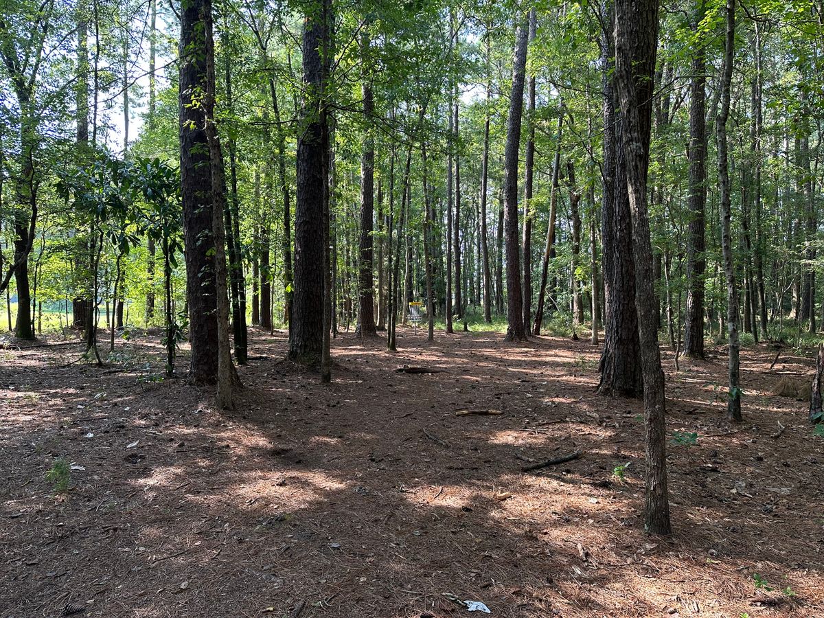 Hole 8a Fairway