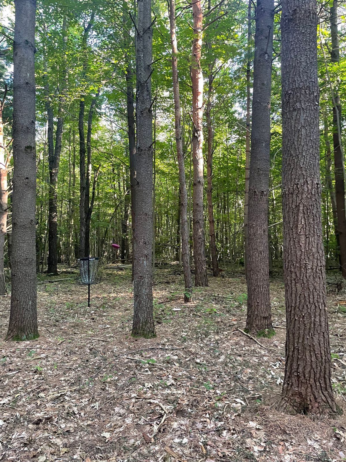 The green of Hole 13