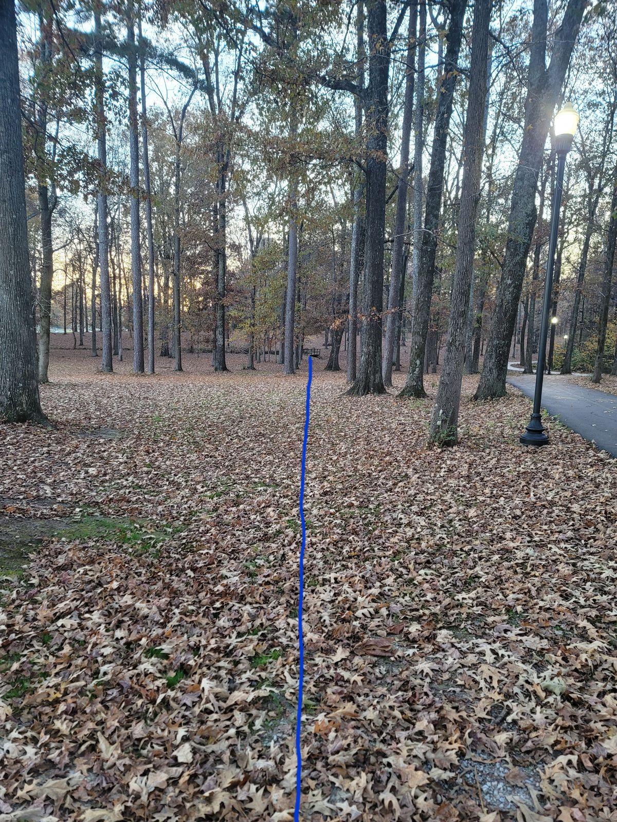 7 long