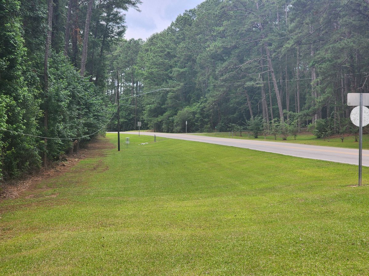 Hole 5 fairway and basket
