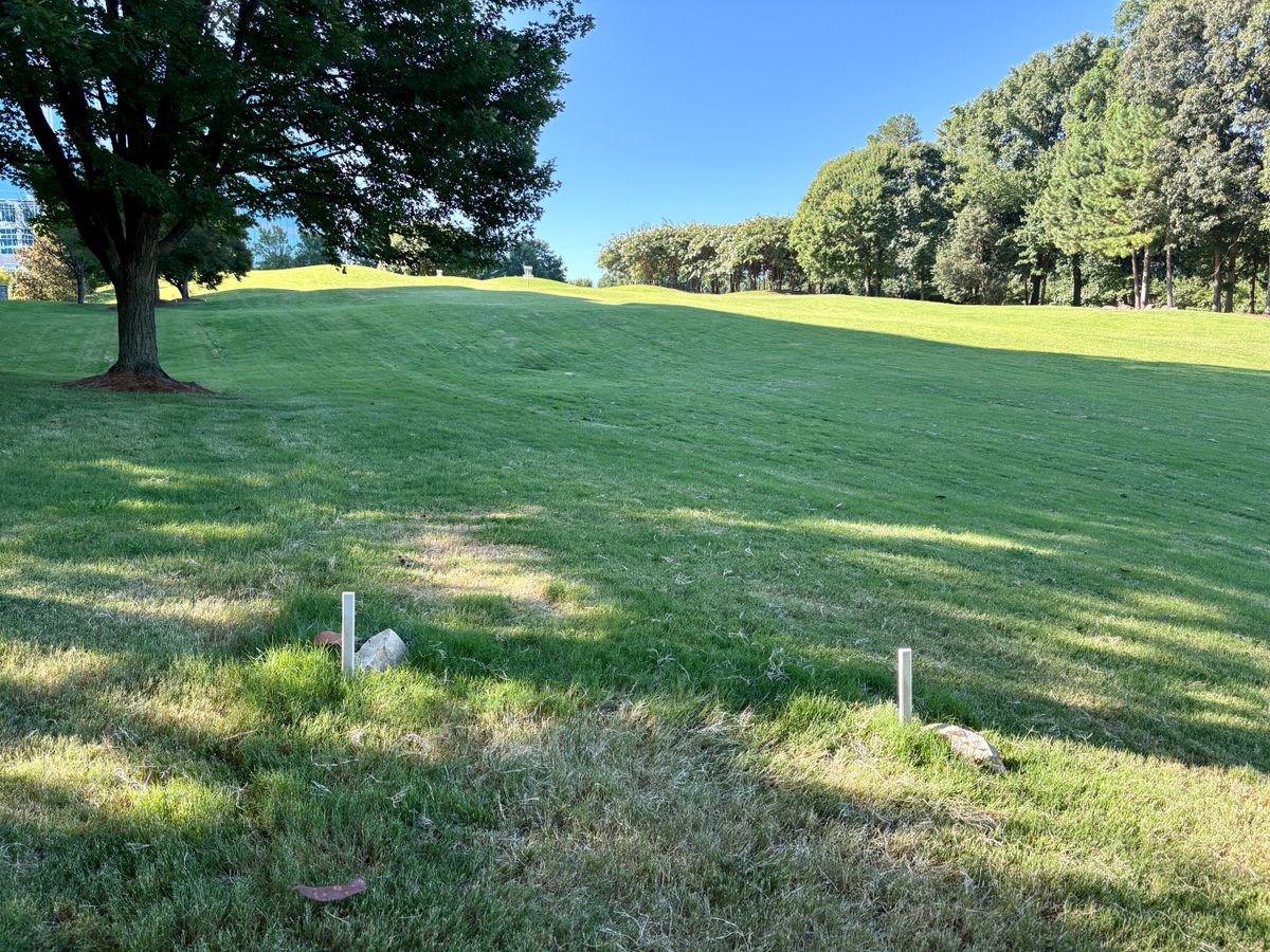 Hole 1 tee