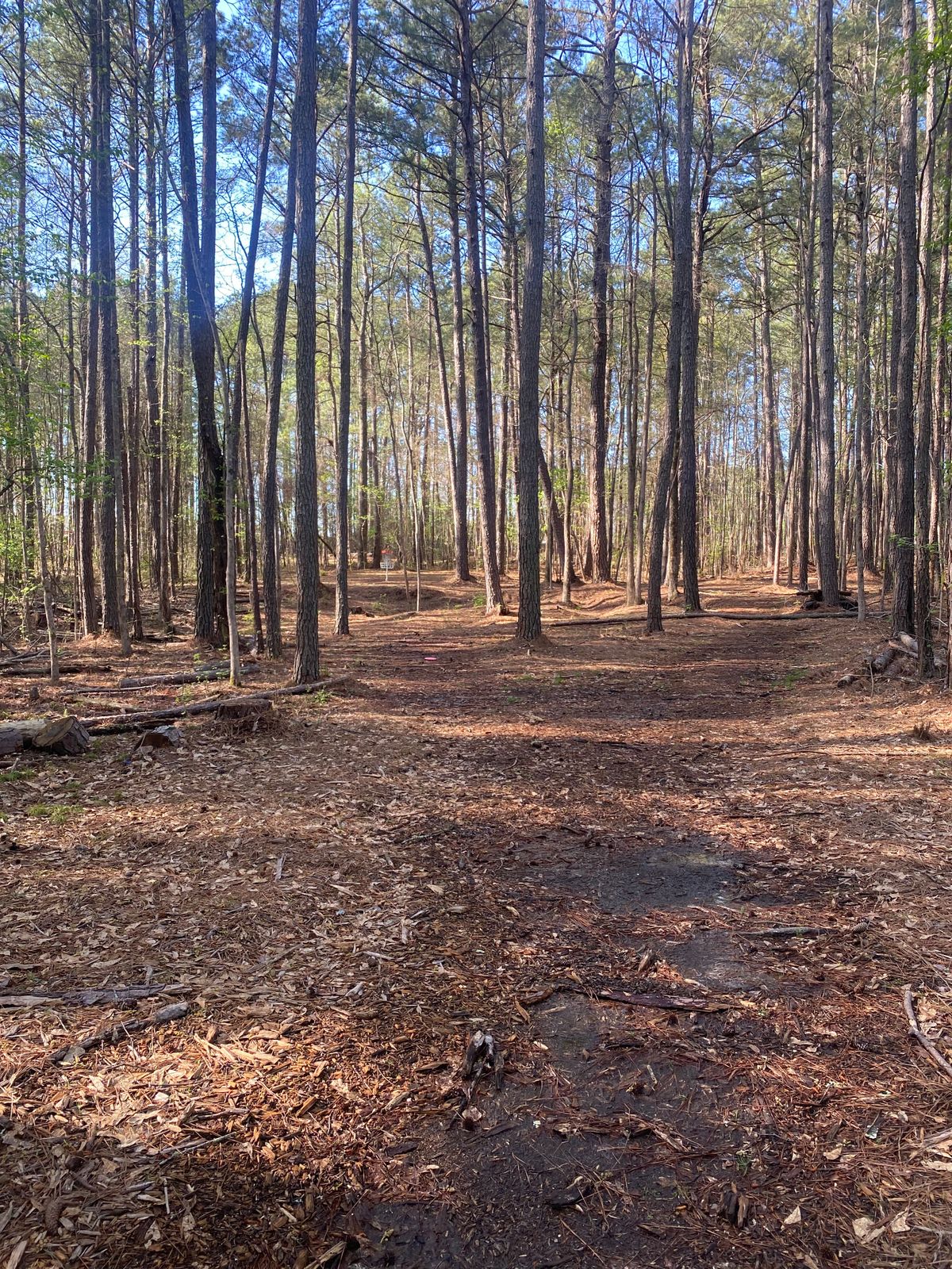 Fairway 5