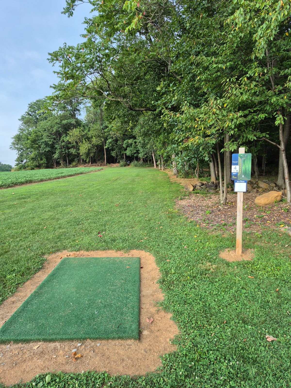 Hole 4
