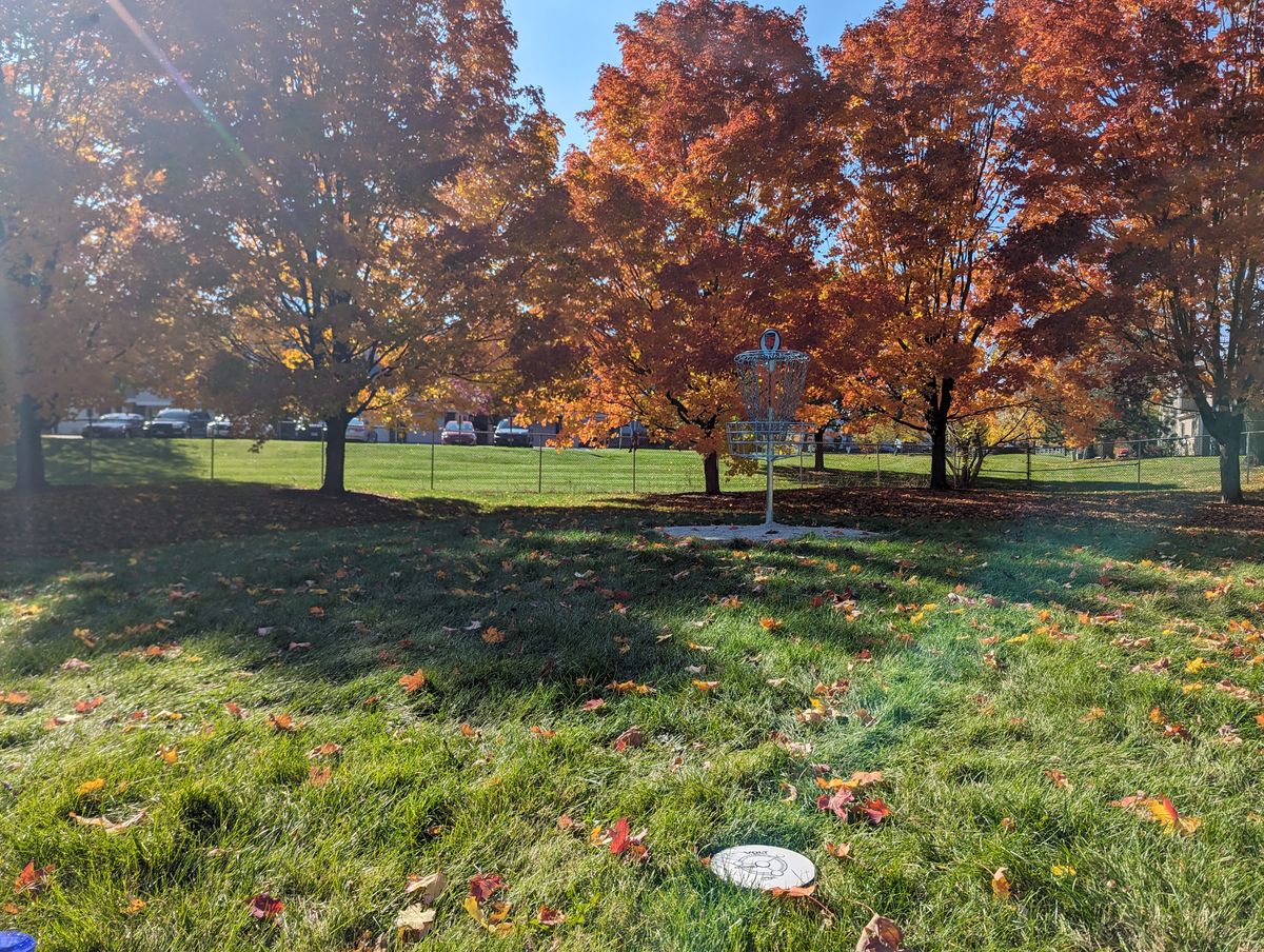 Basket: Hole 5