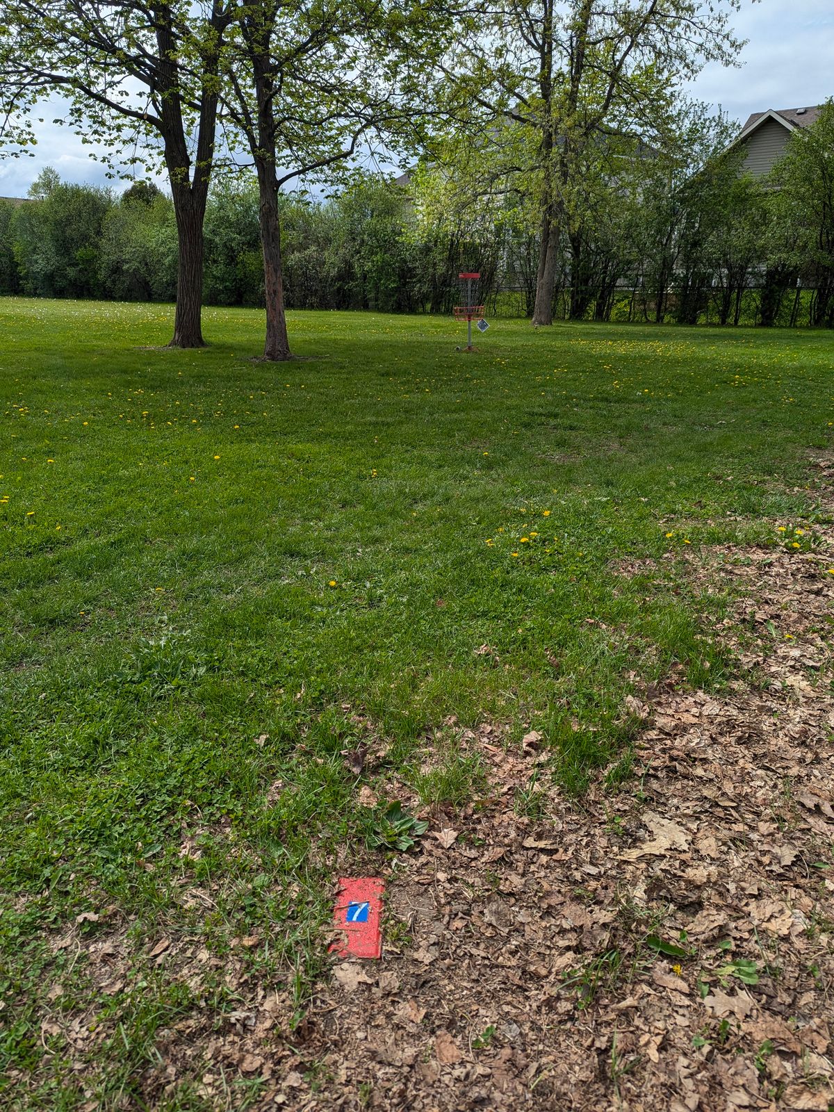 TEE 7.
*IMPORTANT: The Single Tee brick acts like a marker and you can only throw from behind the marker, not for either side or in fro