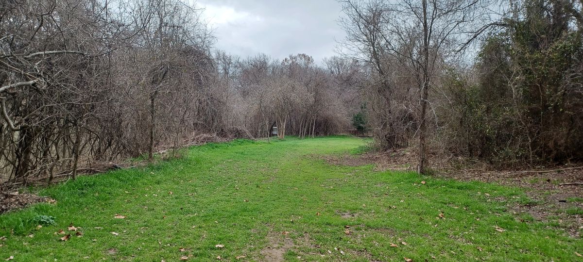 Hole 13