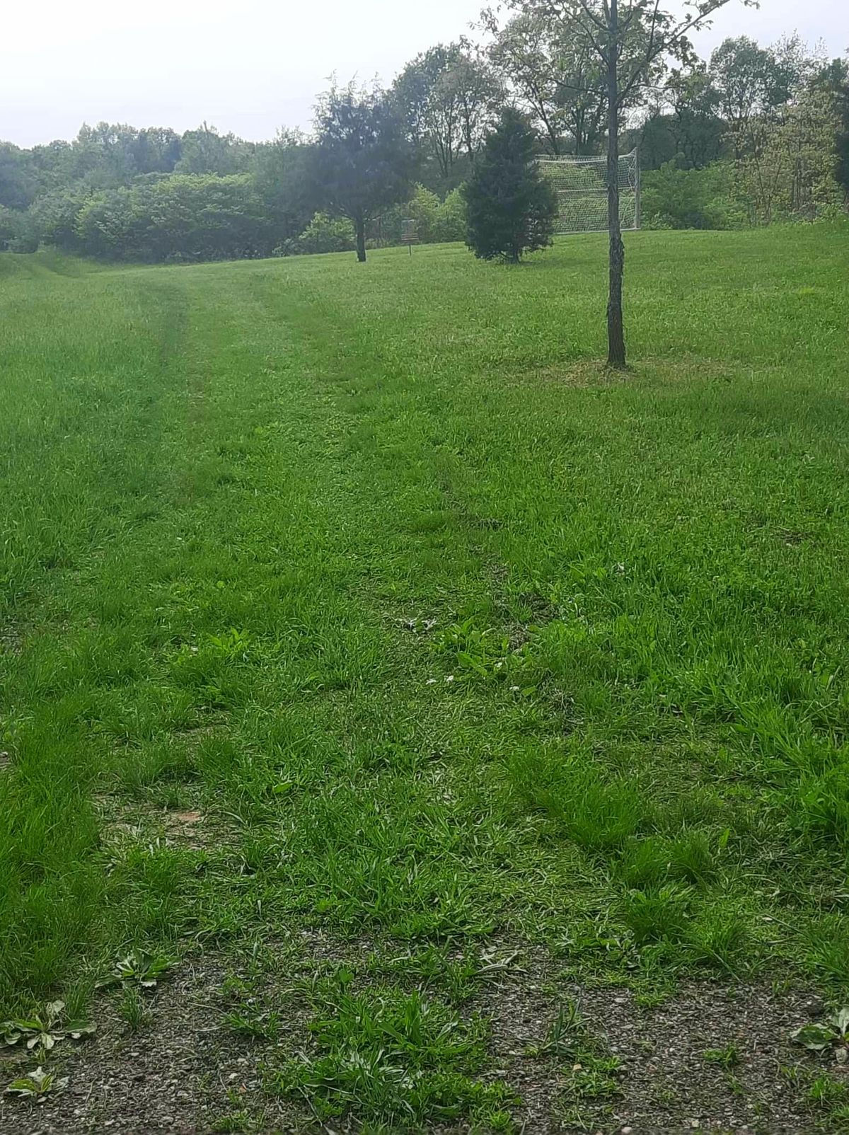 Hole 8
