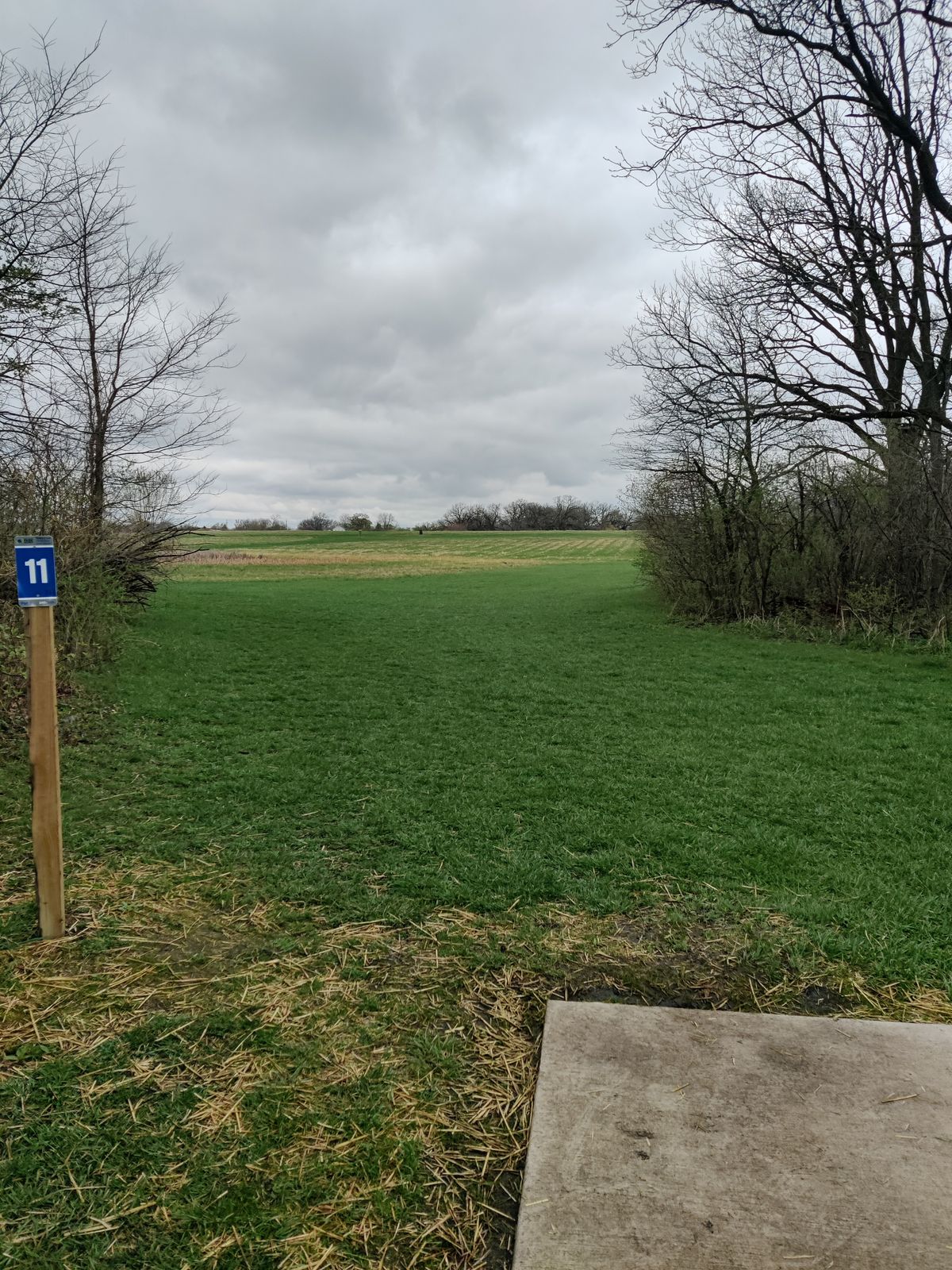 Hole 11 tee