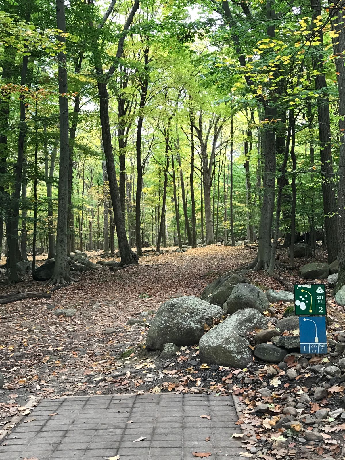 Hole 2 Green / Hole 1 Blue
