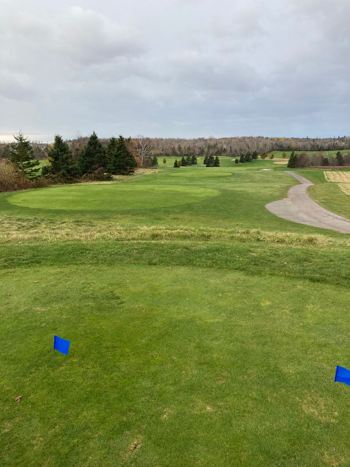 Hole 1 Blue Tee.  Basket out of sight, downhill.