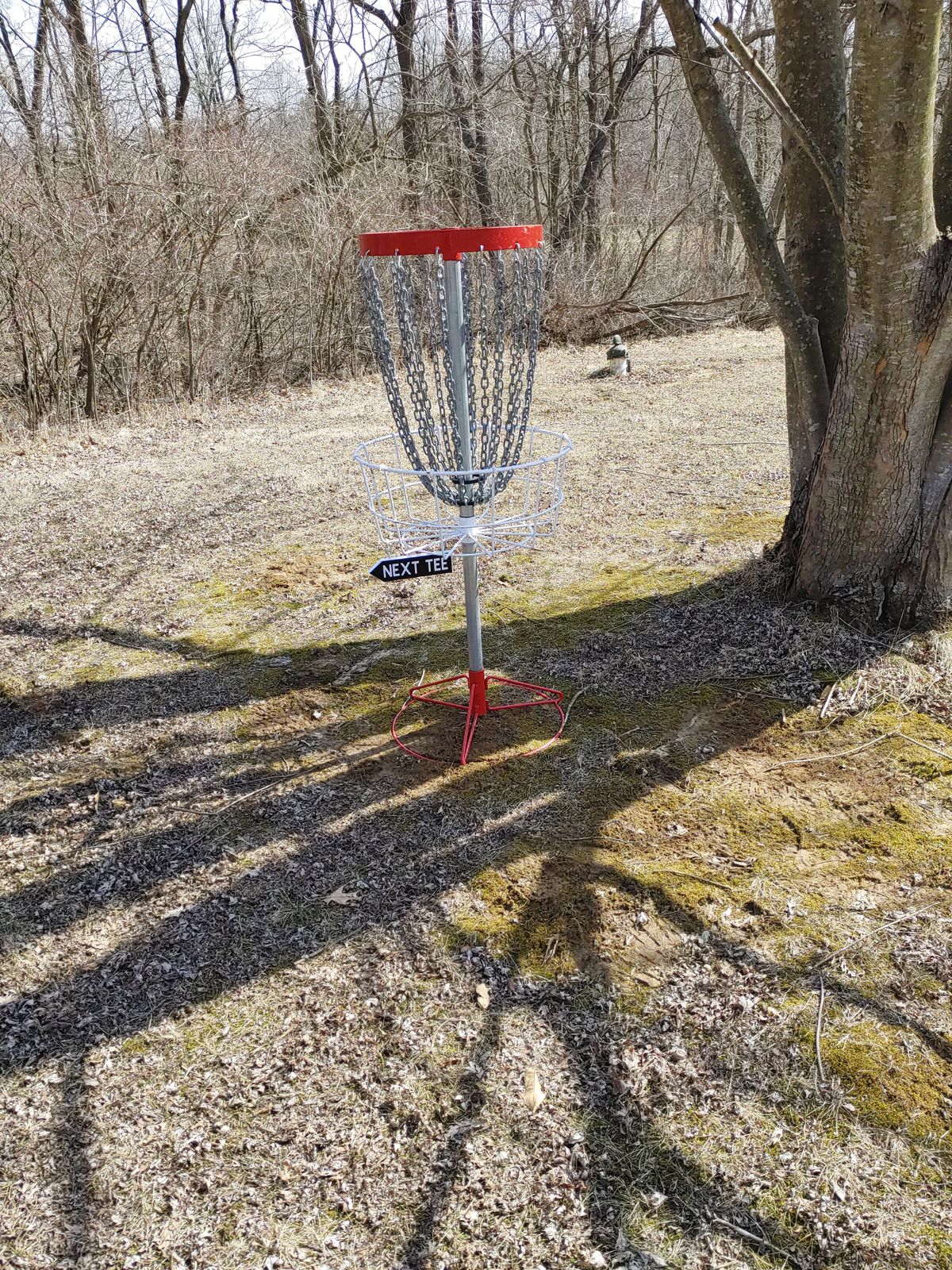Hole 15 Basket