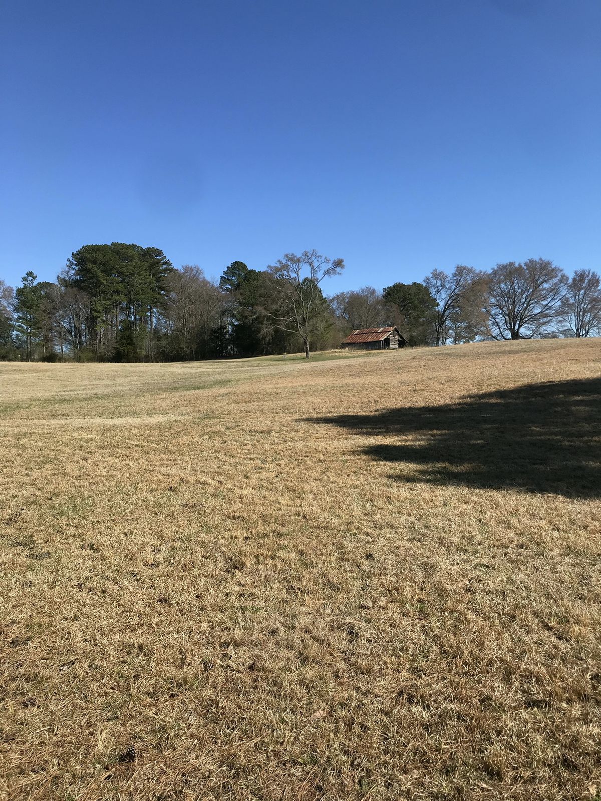 Hole 17 - tee to basket
