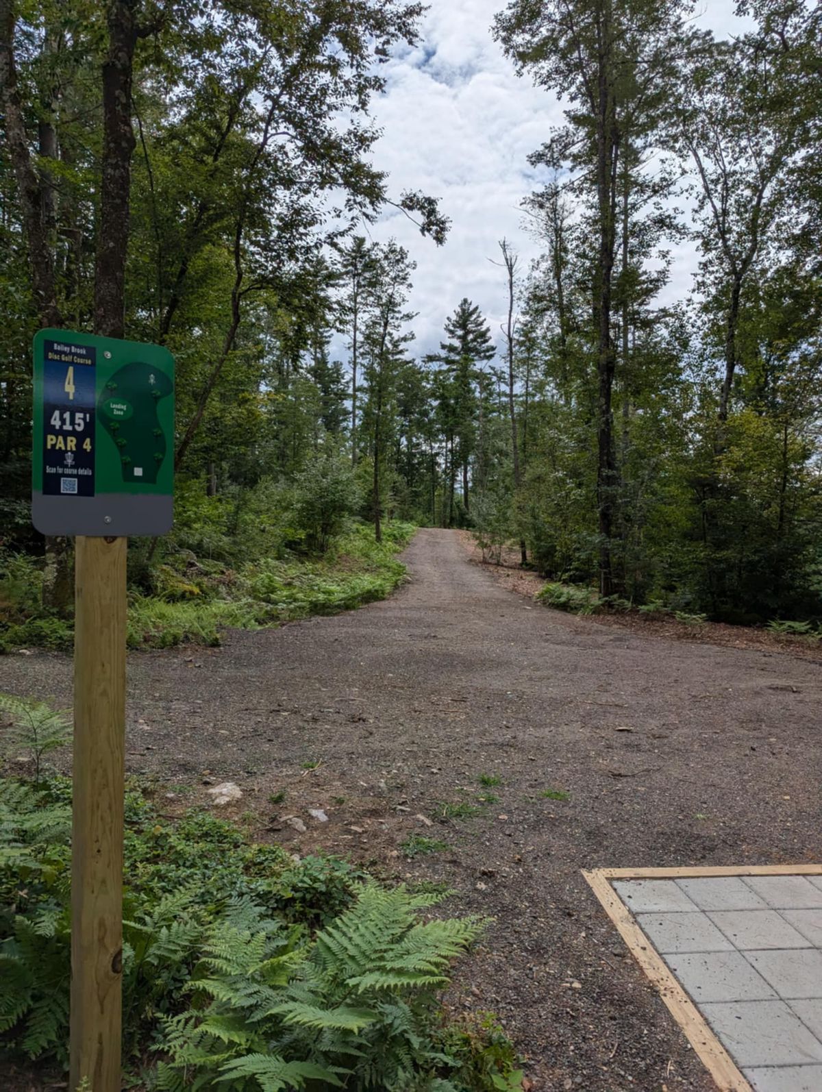 Hole 4