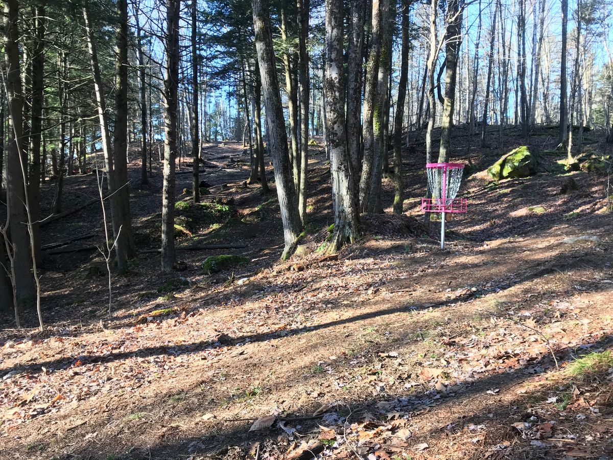 The basket and fairway of hole 3.
