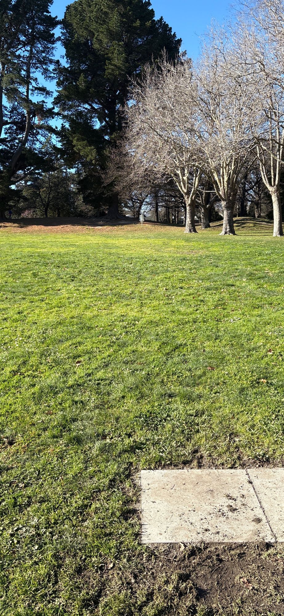 Hole 1 tee pad
