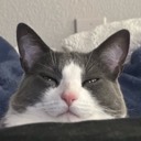 User avatar image