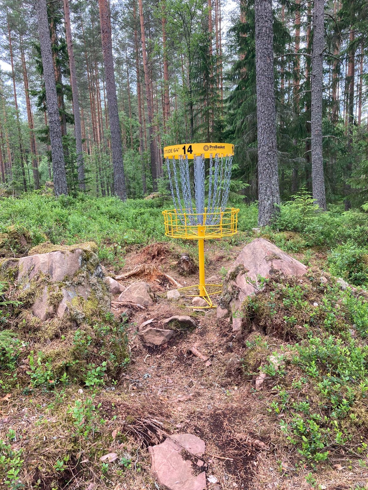 Green hål 14