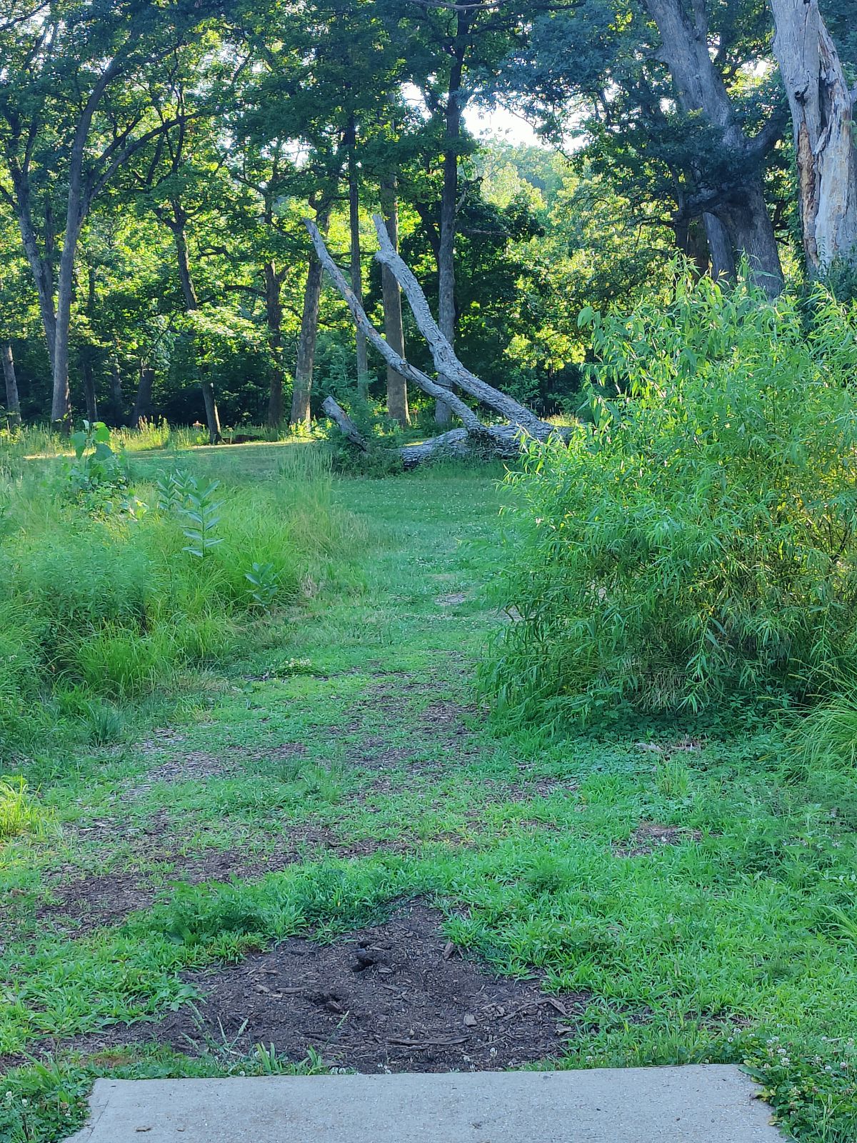~210 ft hole