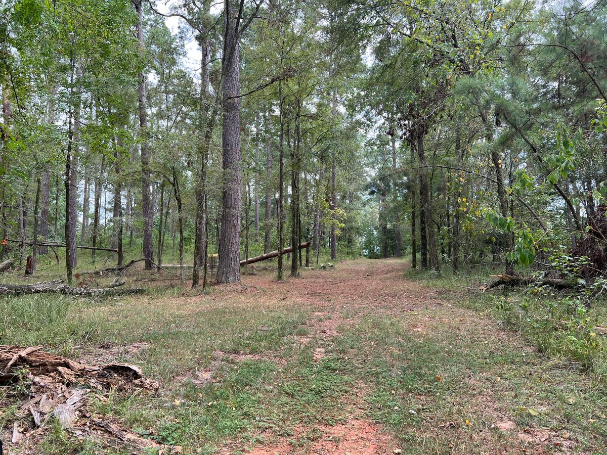 Hole 13 green