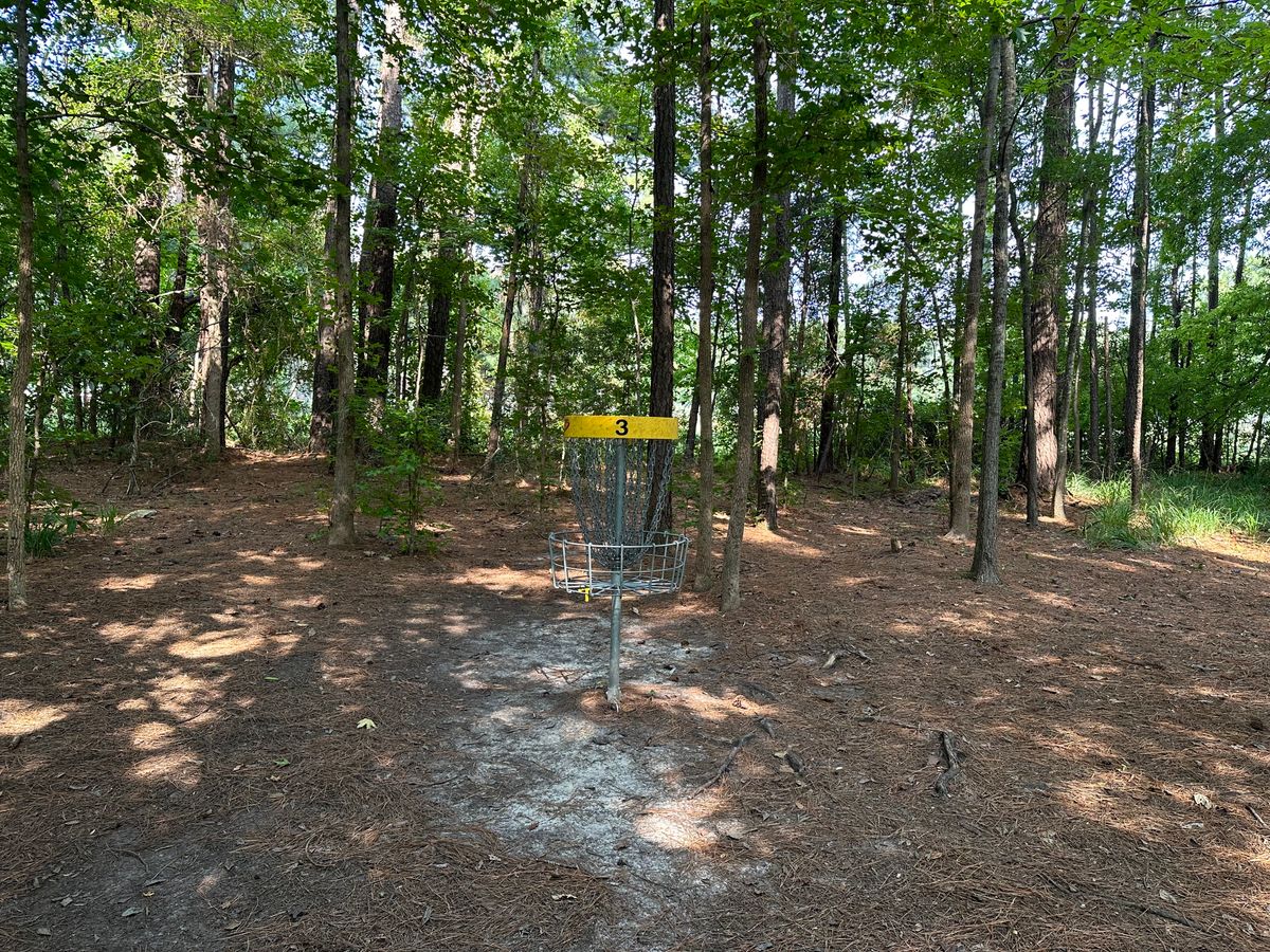 Hole 3 Basket