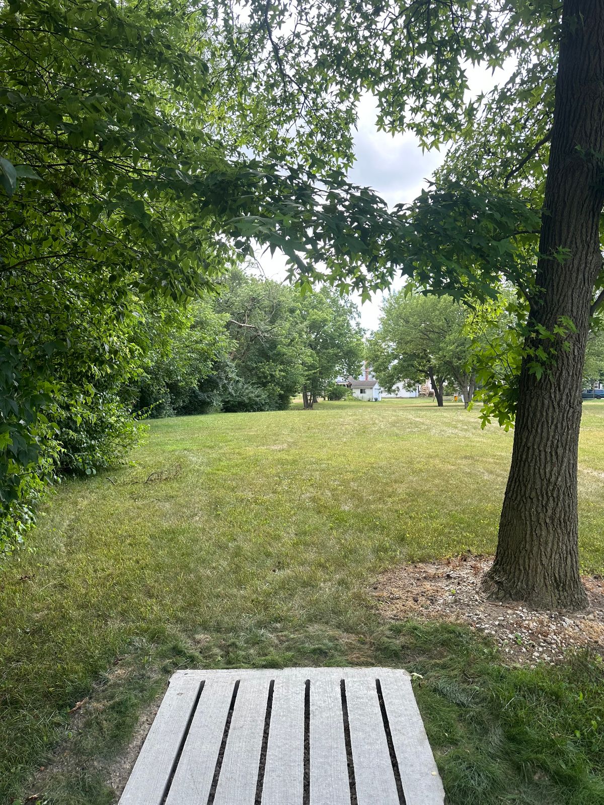Hole 12 tee pad