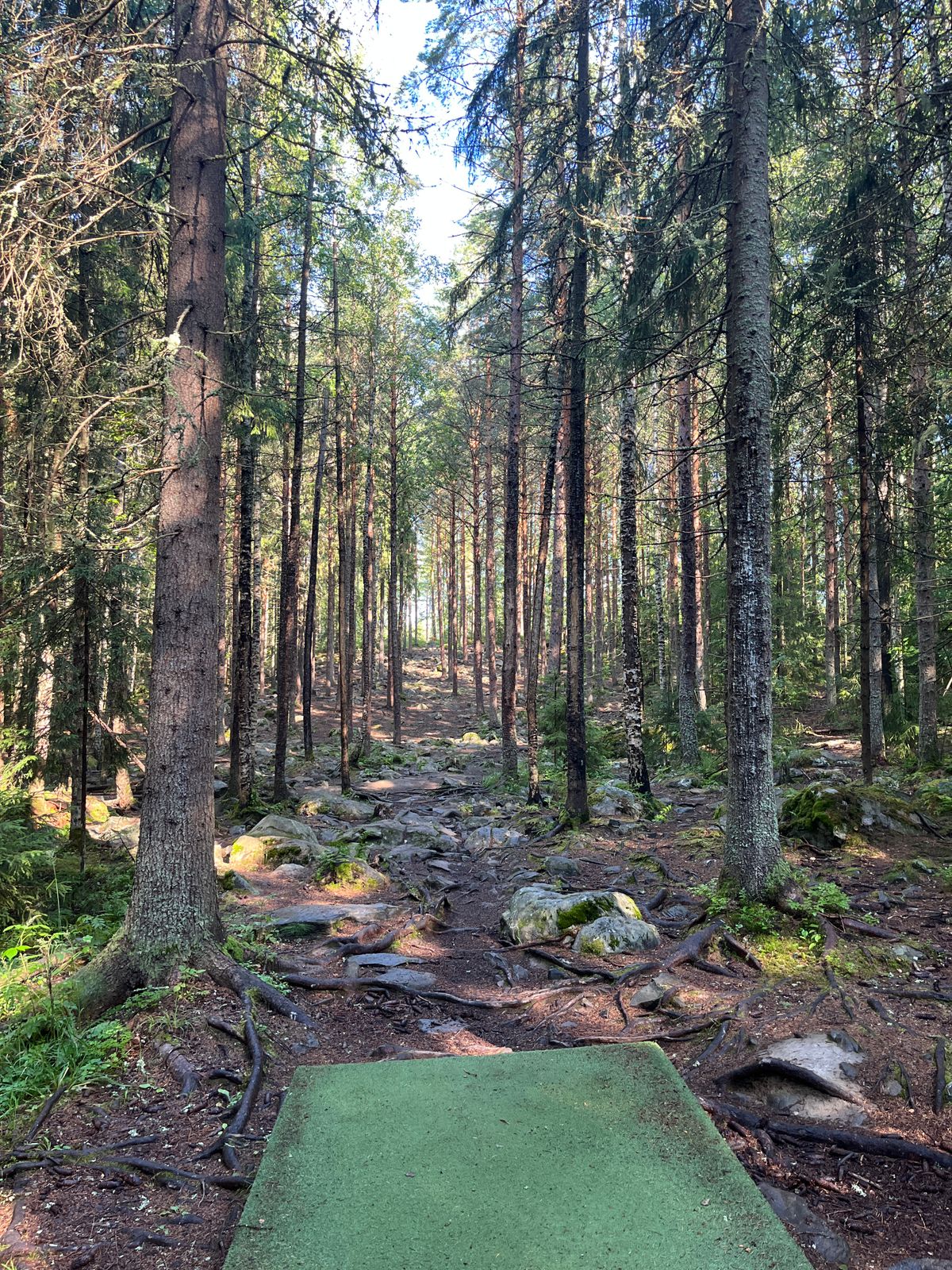 Hole 2, tee