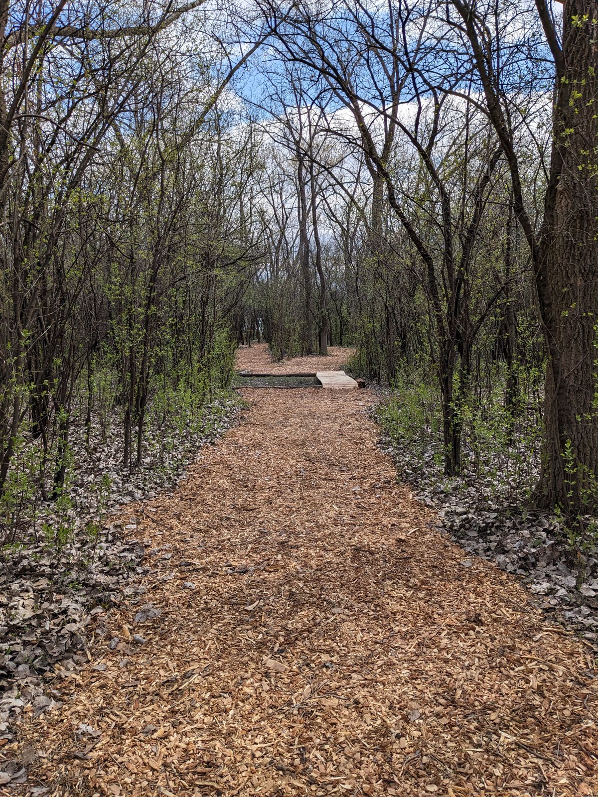 Hole 3 upgrade