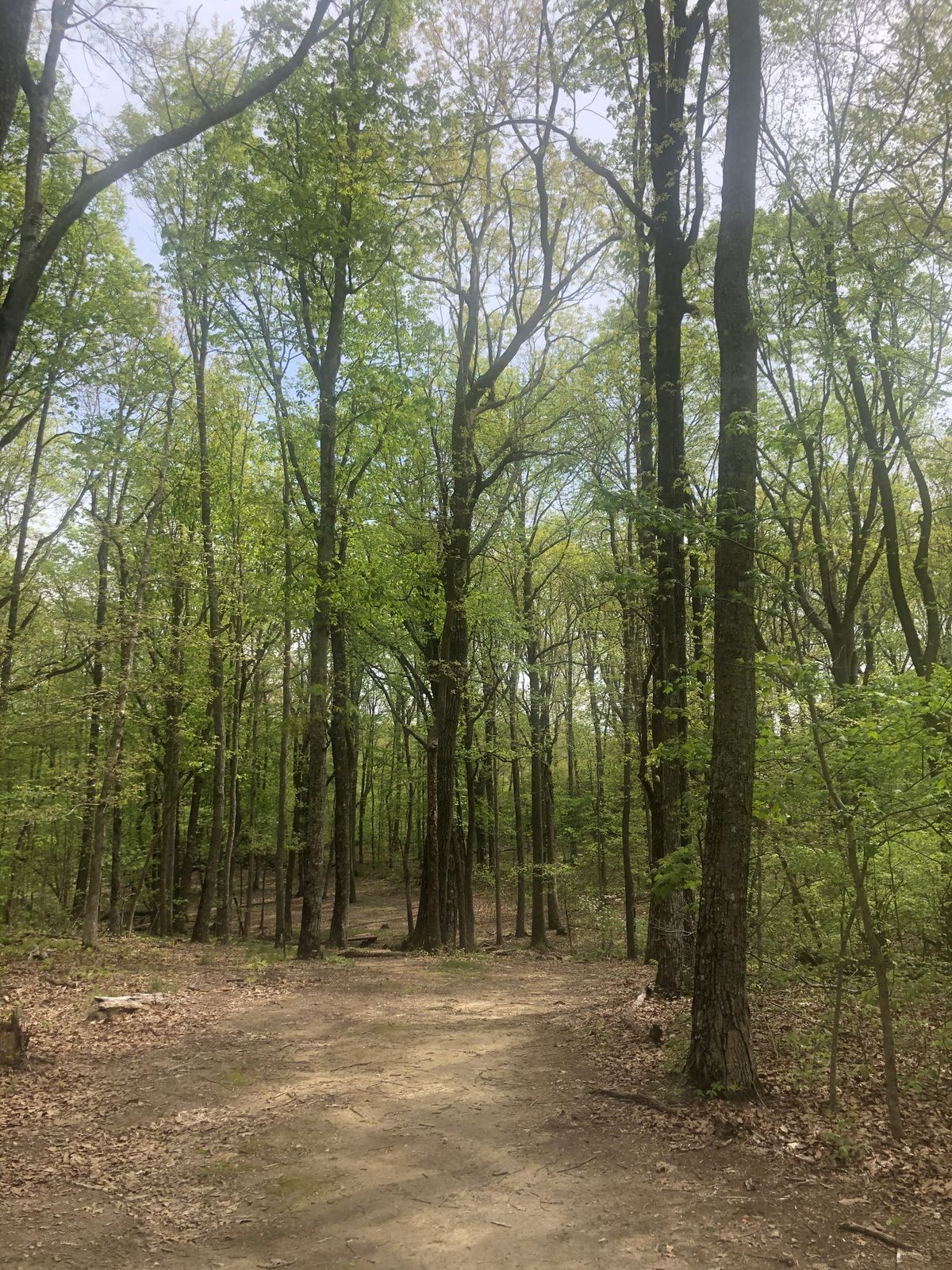 Hole 14