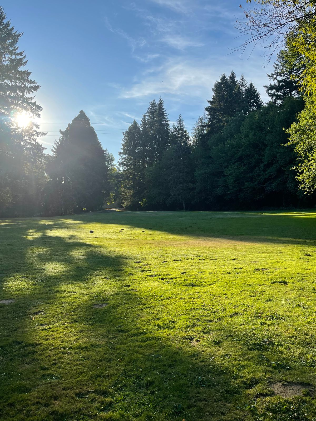 Looking at hole 3 from hole 2 at 7am august 2023 beautiful place to be