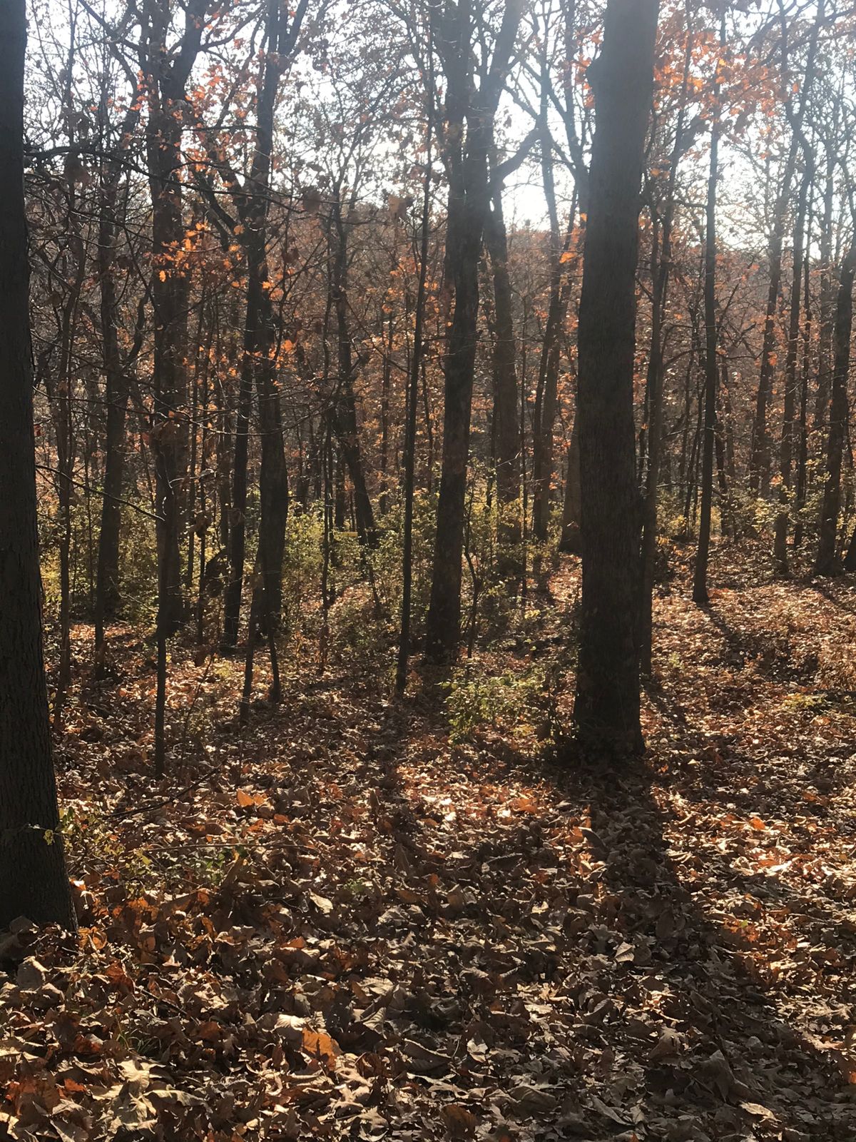 Hole 3 from tee.