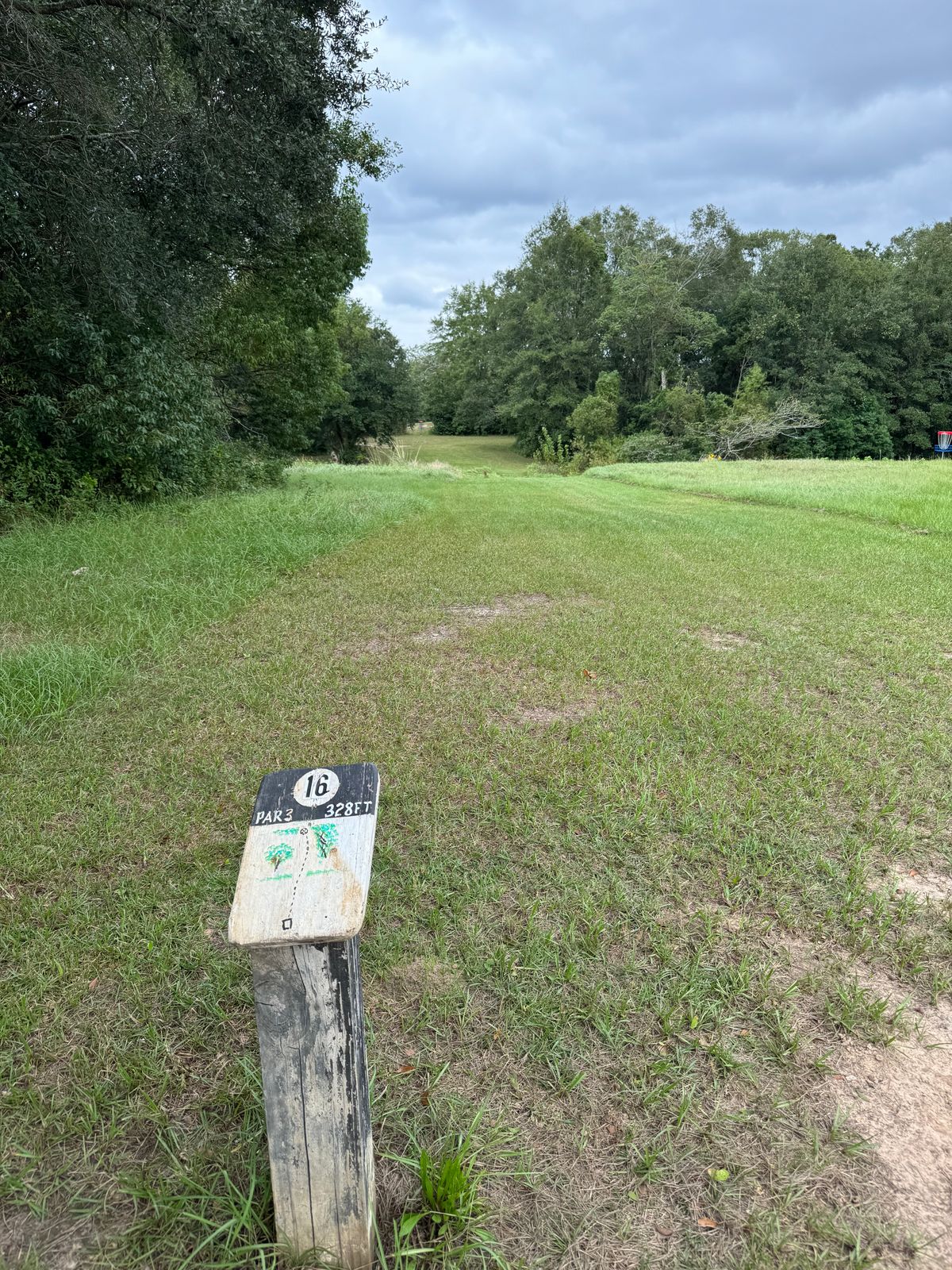 Hole 16 tee (throws near right side ditch)