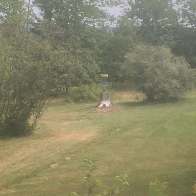 Basket on a stump