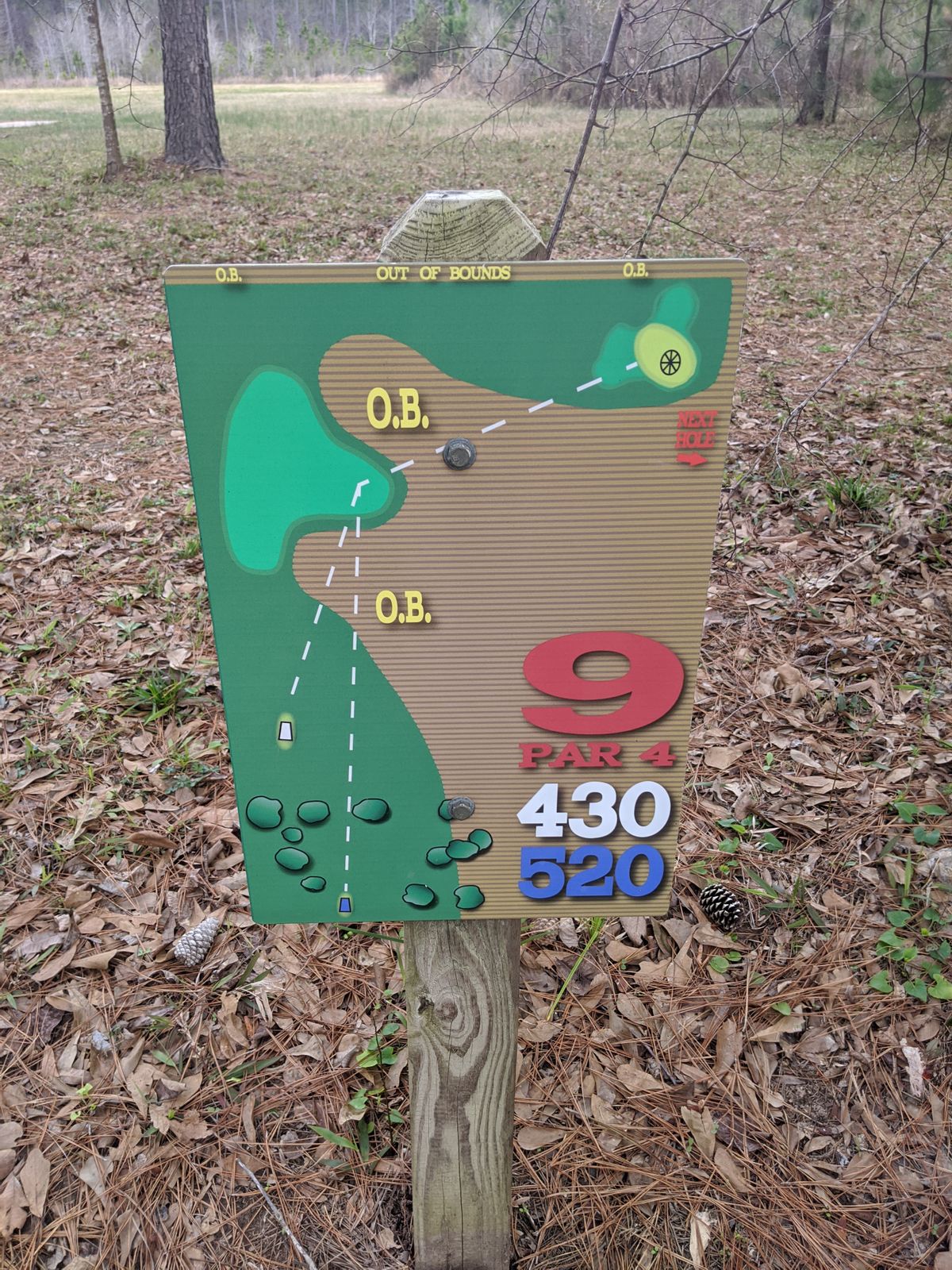 Hole 9