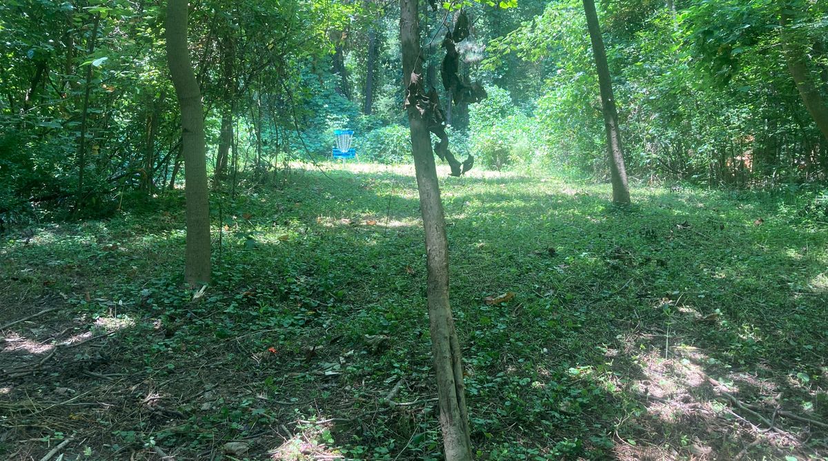 Conditions are terrible. Overgrown with foliage, no paths.
