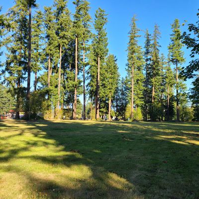 A lot of open fairways with a few trees scattered.
