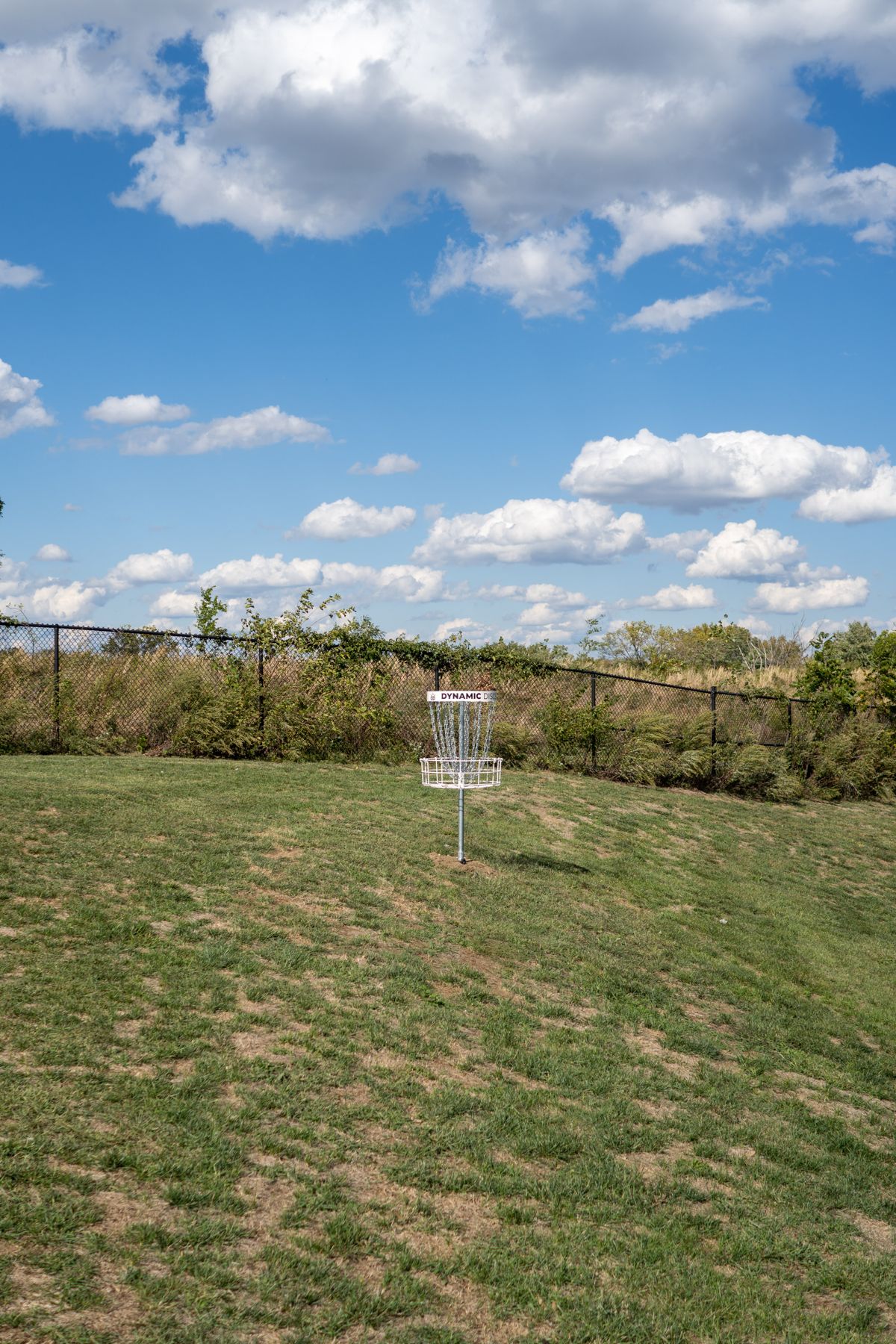 Basket for Hole 9