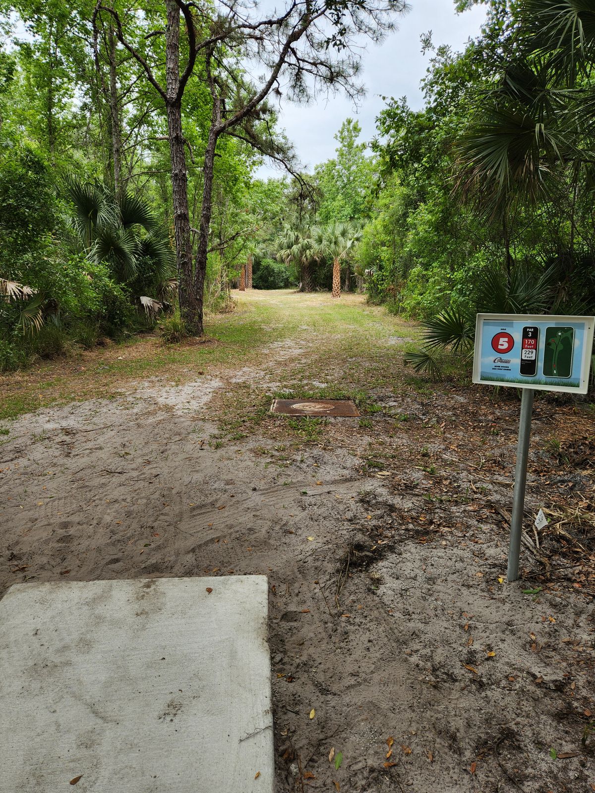 Hole 5 Short