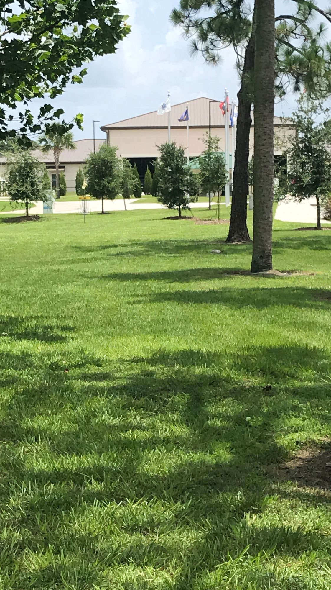 Turtle wants to play