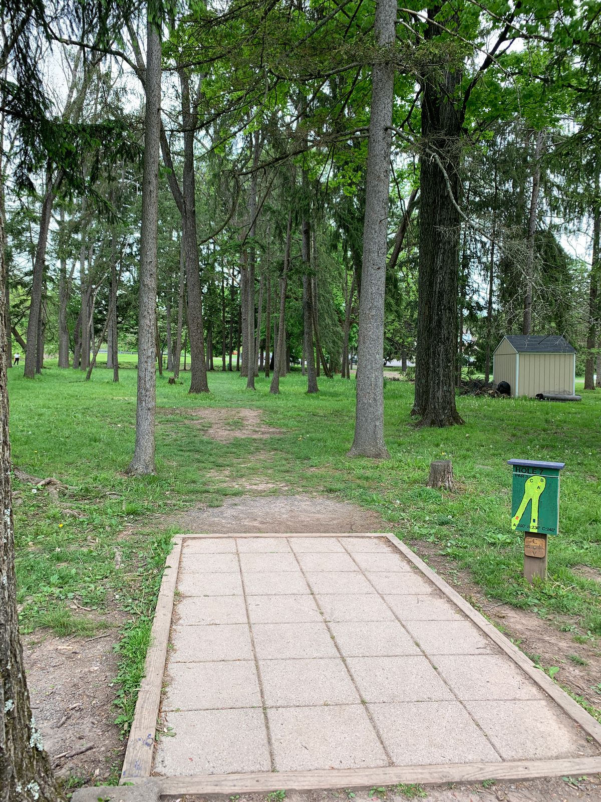 Hole 7