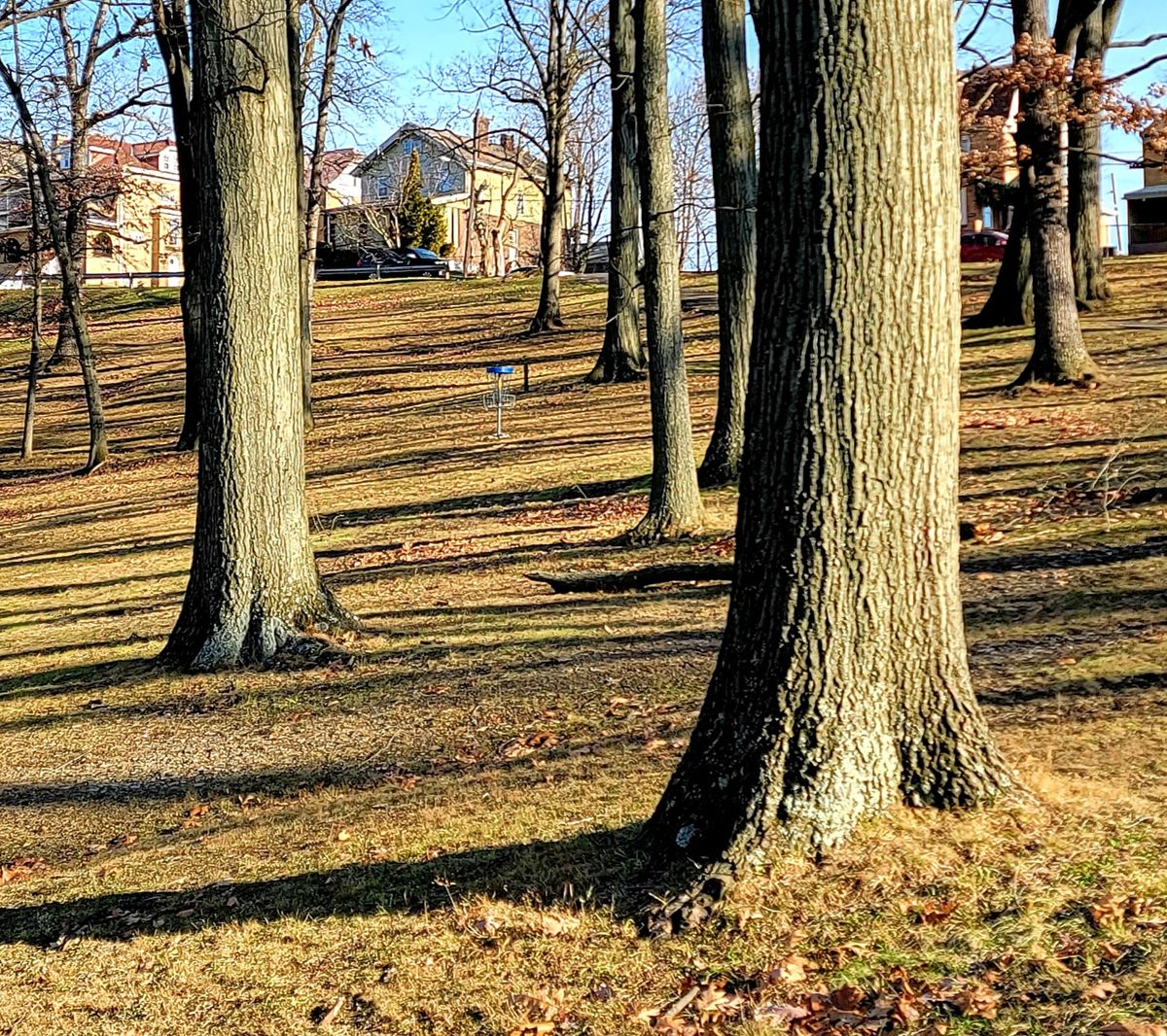 Phillips Park