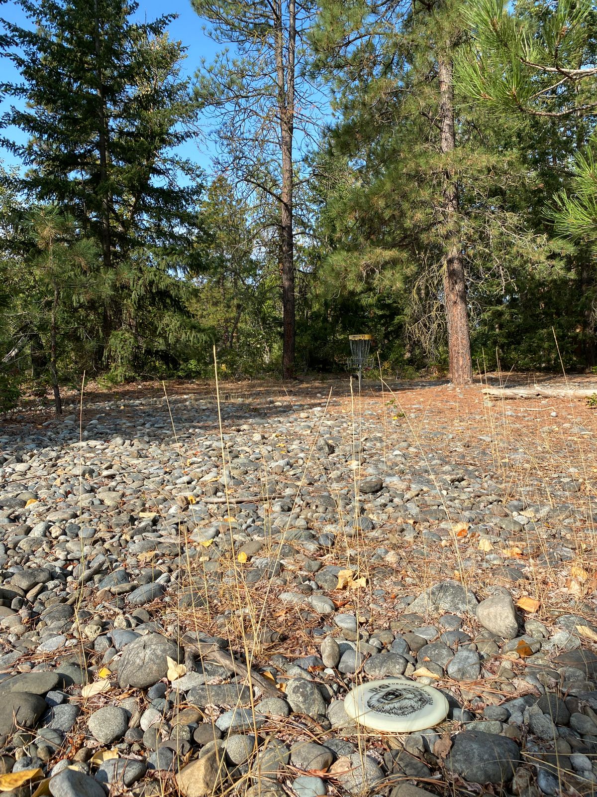 Hole 15