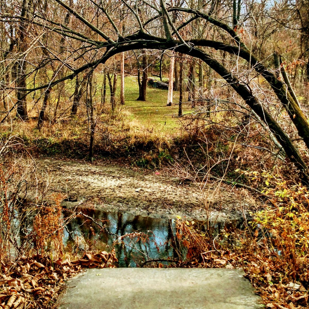 Former hole 1 current hole 5 and favorite on the course! Beautiful fall scenery.