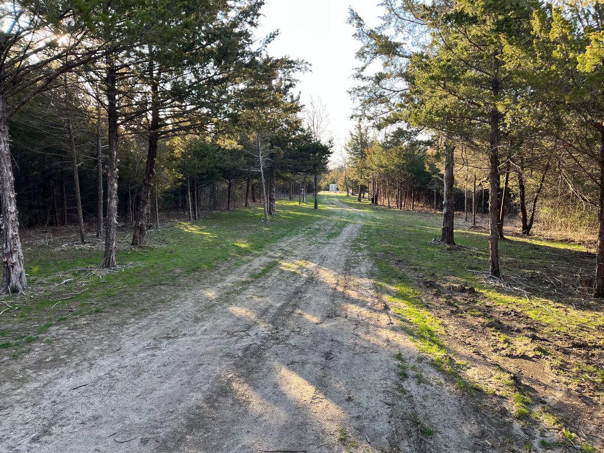 Hole 5 fairway