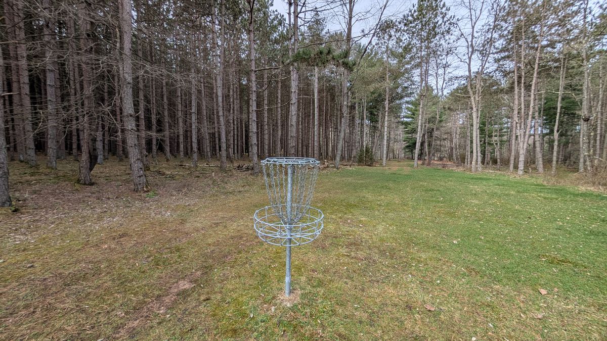 Hole 5 basket back towards turn