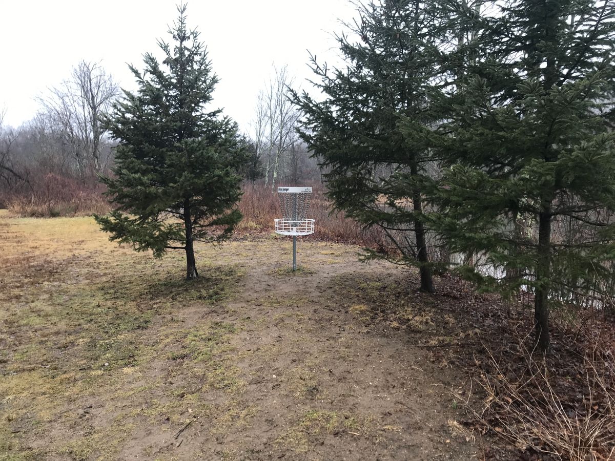 Hole 4 basket
