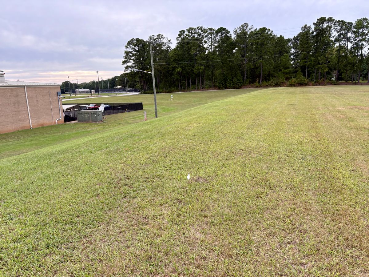Hole 2 tee