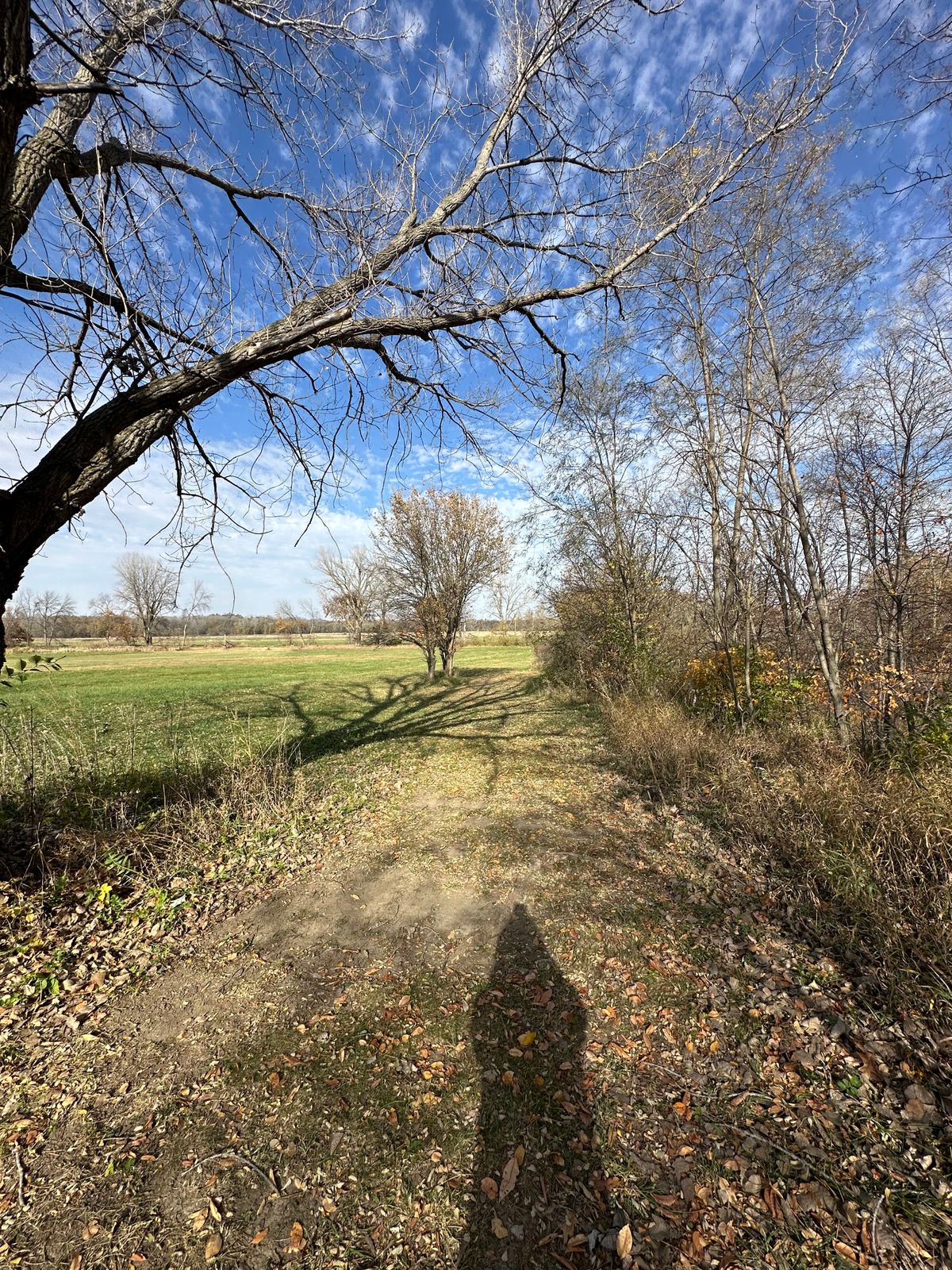 Hole 10. Mando to right of tree on the left. Creek OB