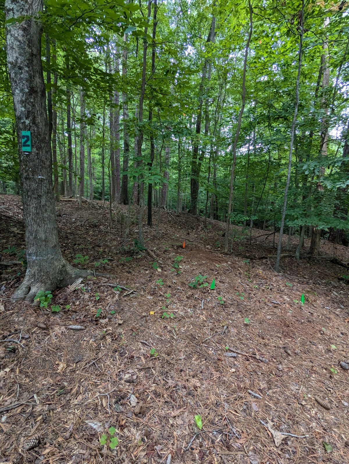 2 Green tee