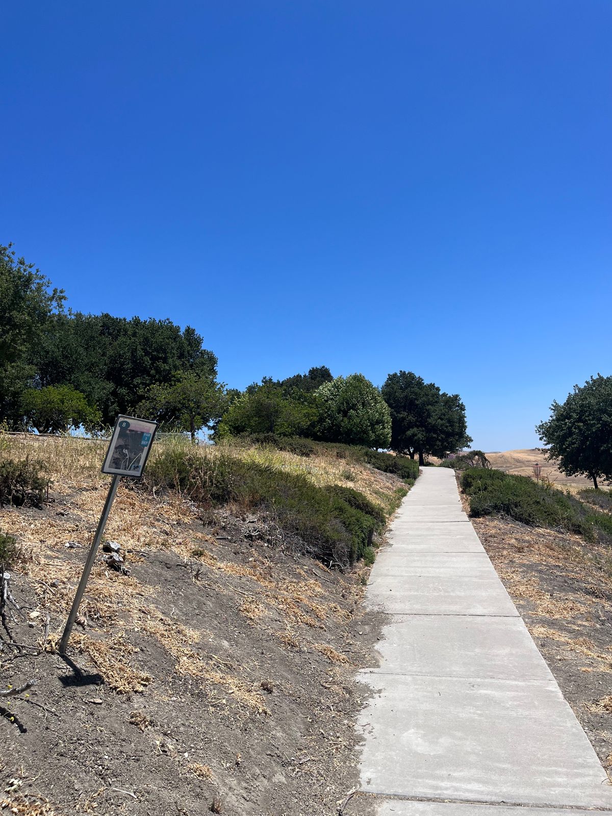 Hole 8 (June 25)